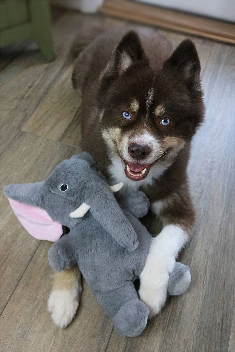 Dog Star Cute and Cuddly Savannah the Elephant Dog Toy Small