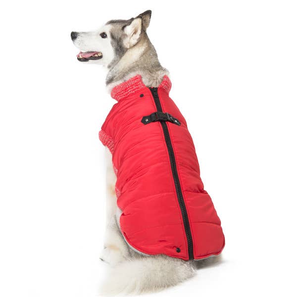 Dogo Pet - Runner Coat Original