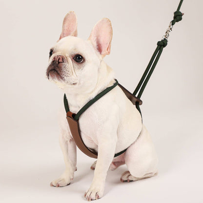 Hozi - Essential Harness - Deep Green