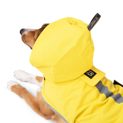 Nandog Pet Gear - Rain Coat Nandog Sport Collection: L