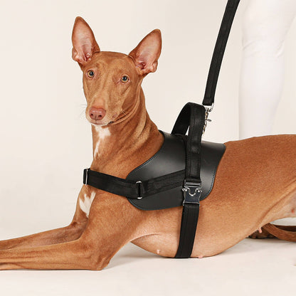 Hozi - Saddle Hands-free Leash : Black