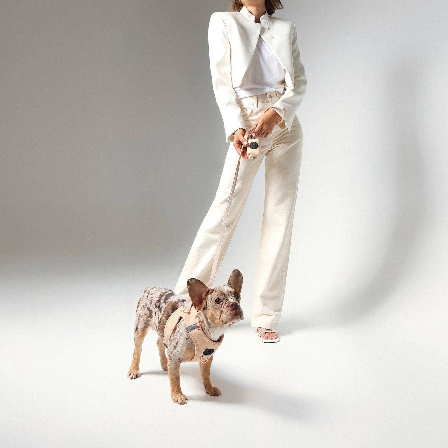 Dogistry™ - SoHo Dog Harness - Dune