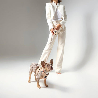 Dogistry™ - SoHo Dog Harness - Dune
