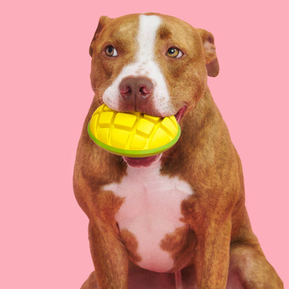 BARK Super Chewer Go Mango Dog Chew Toy L