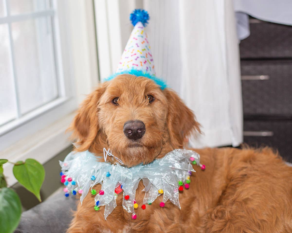 Party Hat Blue Small