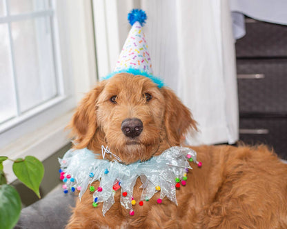 Party Hat Blue Small