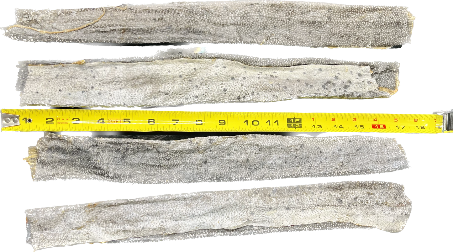 Florida Man Pet Treats - XL Dehydrated Mahi Mahi Dog Chew