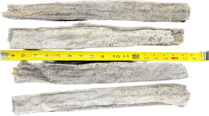 Florida Man Pet Treats - XL Dehydrated Mahi Mahi Dog Chew