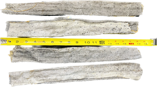 Florida Man Pet Treats - XL Dehydrated Mahi Mahi Dog Chew
