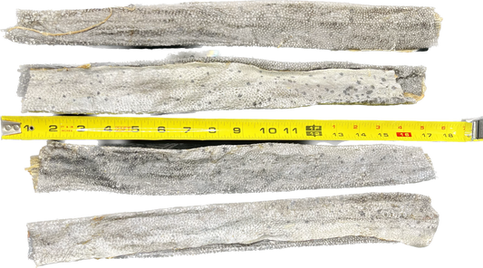 Florida Man Pet Treats - XL Dehydrated Mahi Mahi Dog Chew