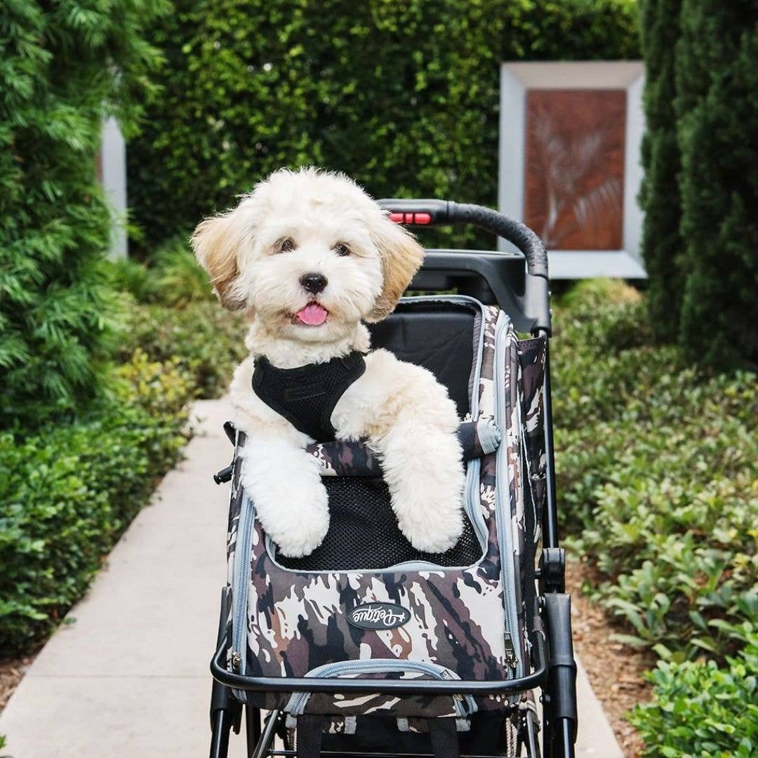 Petique, Inc - 5-in-1 Pet Stroller (Complete Set)