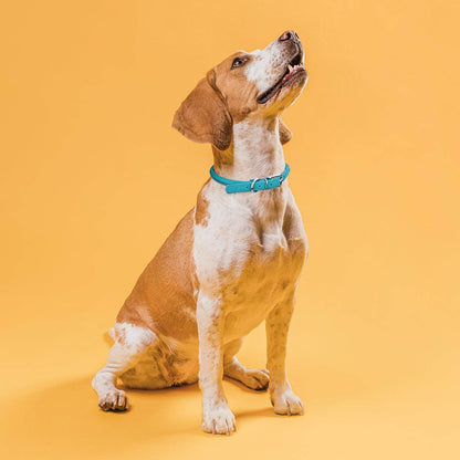 Dogline - Soft Leather Round Collar