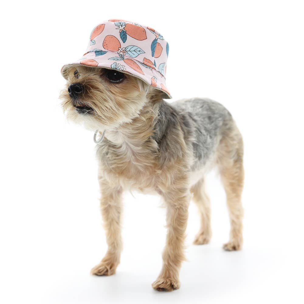 Dogo Pet - Bucket Hat Lemon Pink
