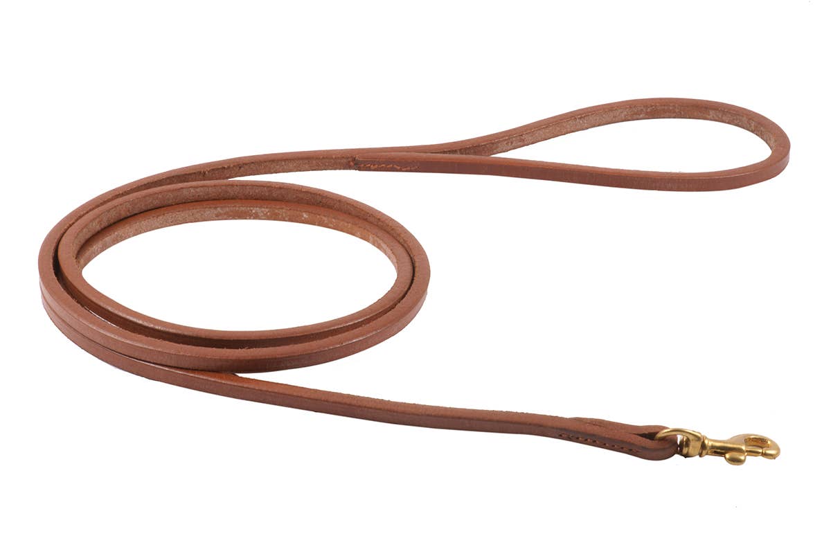 Alvalley - Flat Leather Snap Leads