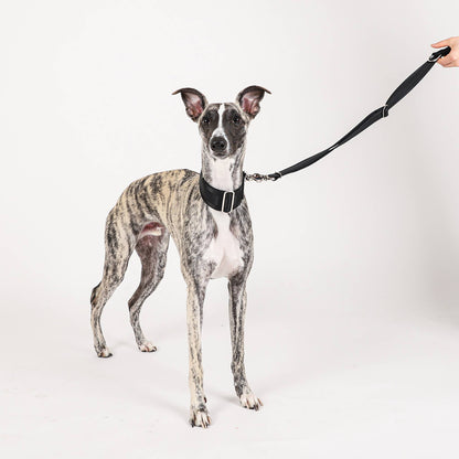 Hozi - Half Leash : Black