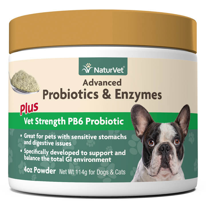 NaturVet Advanced Probiotics and Enzymes Powder Supplement