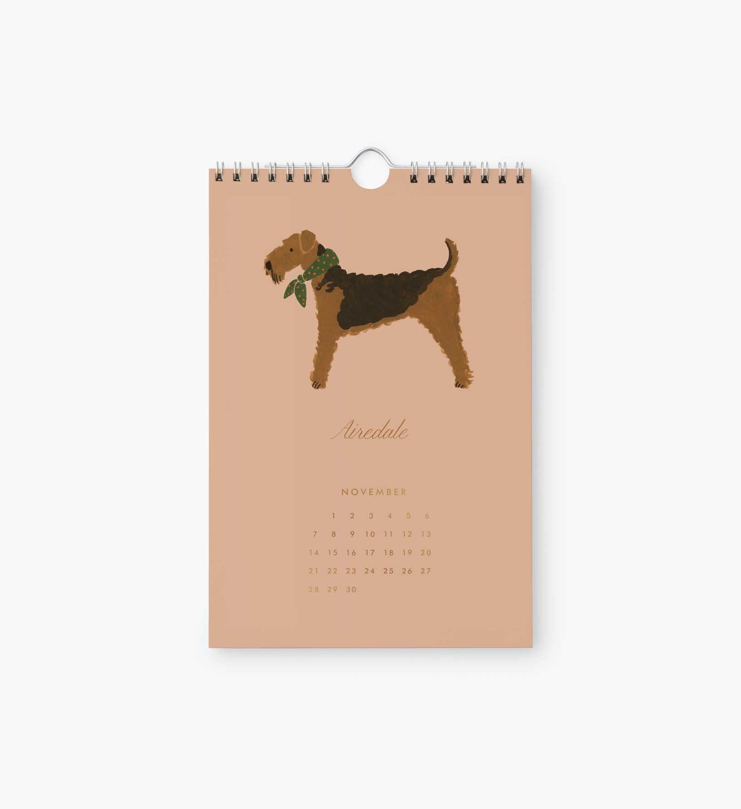 2027 Kitchen Calendar - Dog of the Month