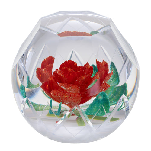 Caithness Christmas Winter Rose