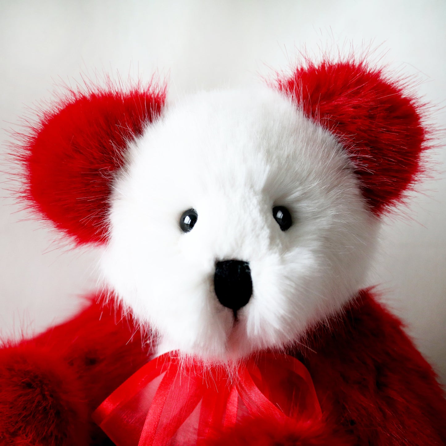 Canterbury Bears Amore Bear
