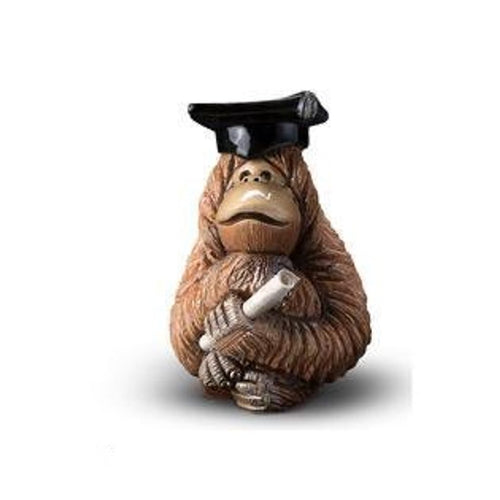 De Rosa Graduate Orangutan