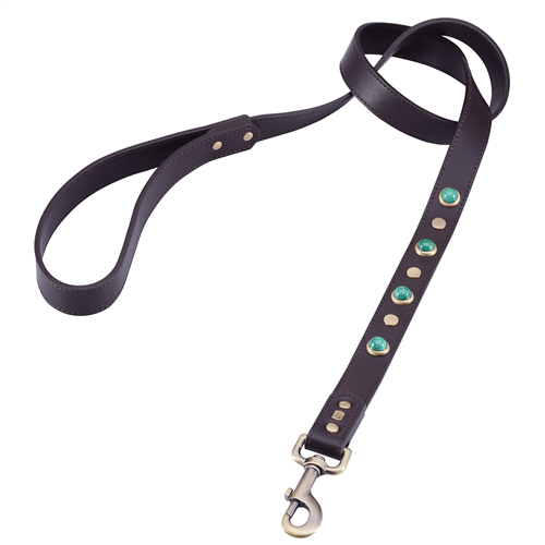 Dosha Boho Dog Leashes