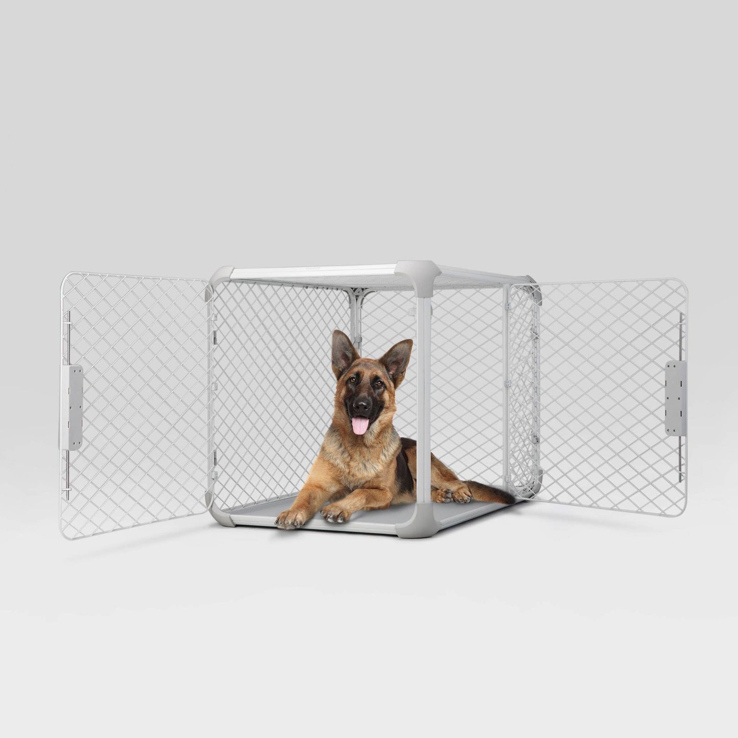 Diggs - Evolv Dog Crate
