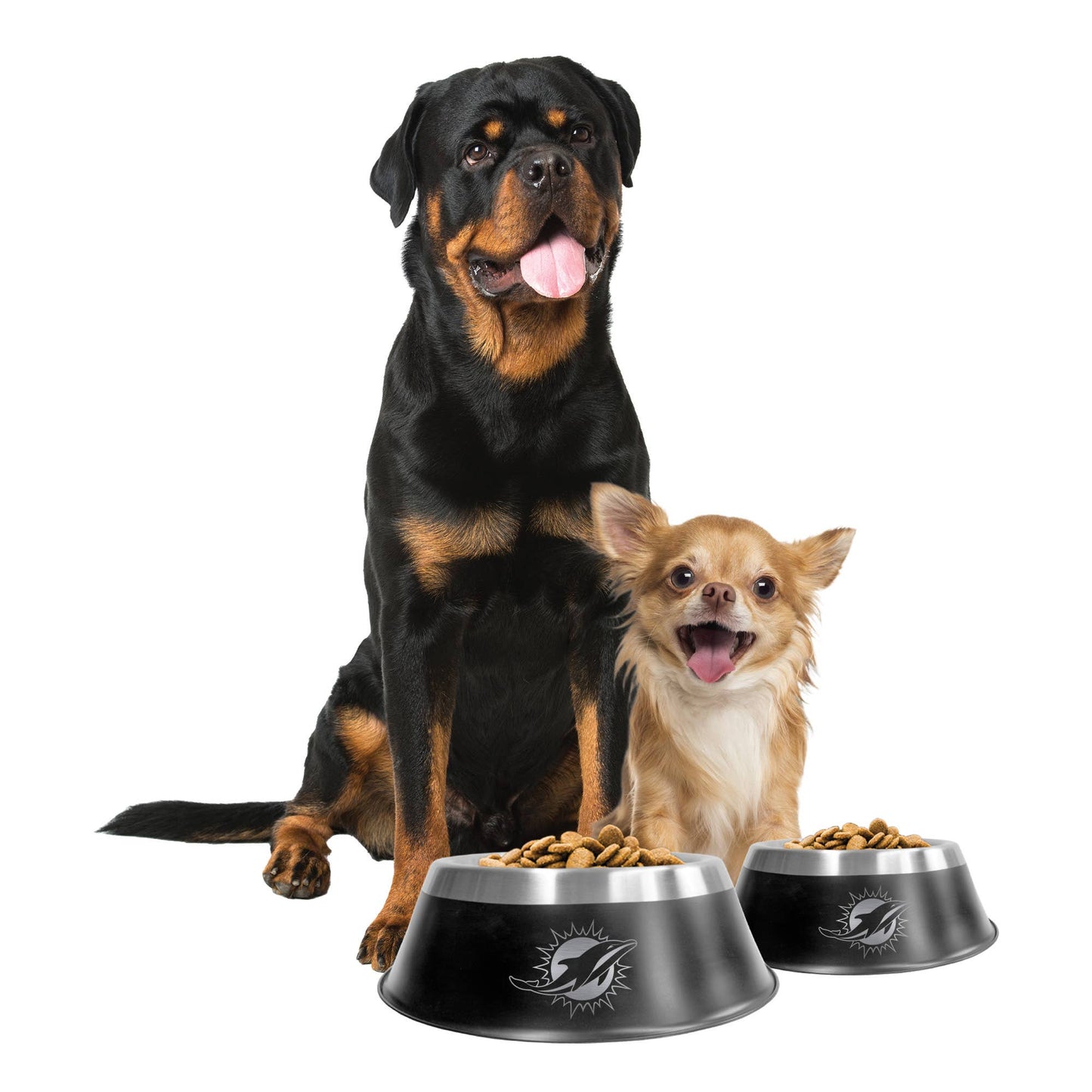 NFL Miami Dolphins All Pro Pet Bowl, Small