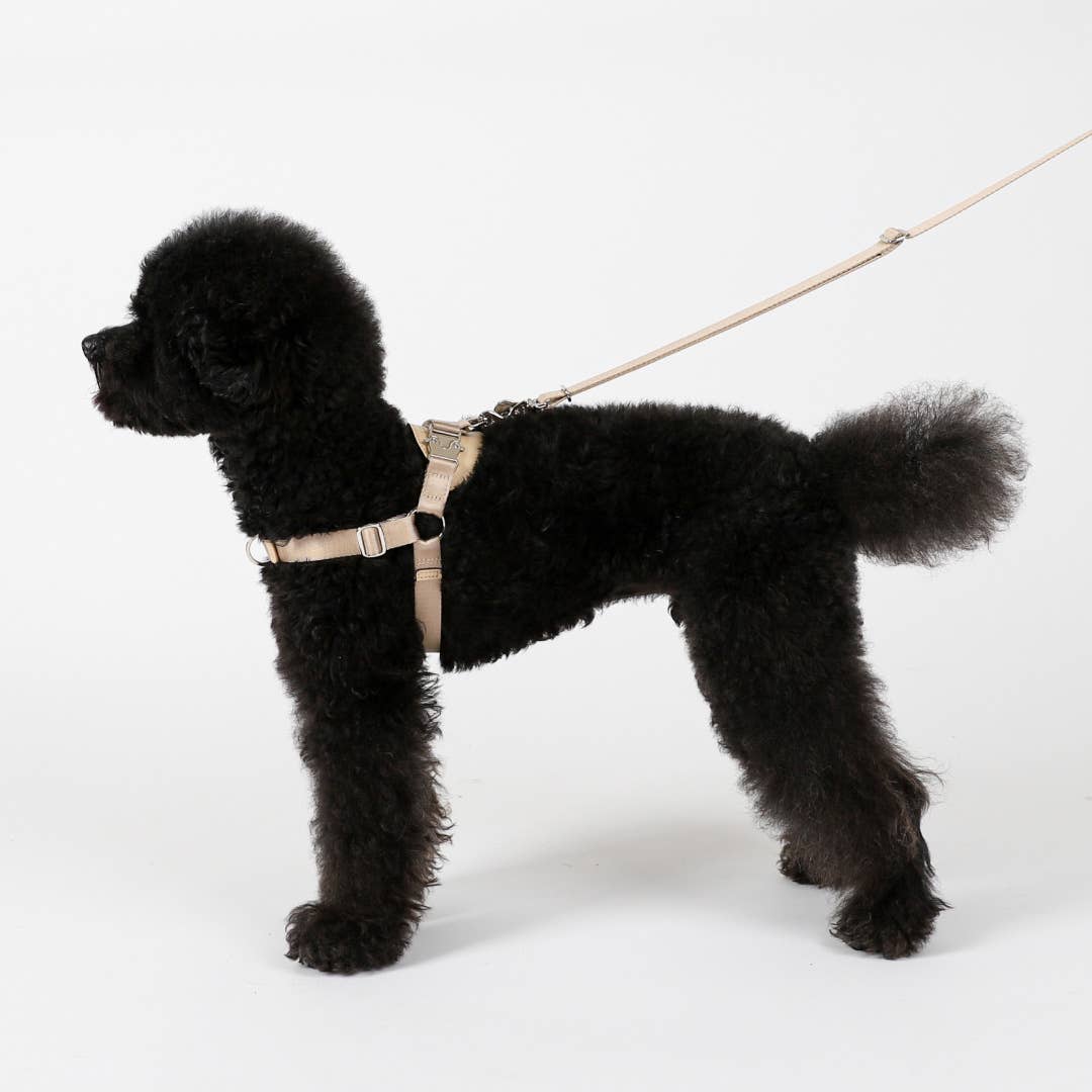Hozi - Horsebit Harness : Beige
