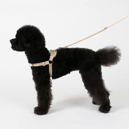 Hozi - Horsebit Harness : Beige