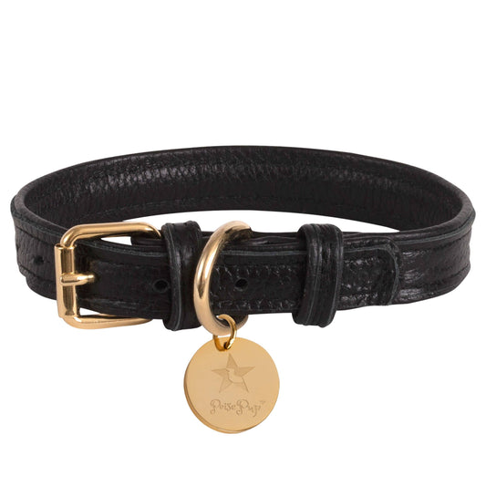 PoisePup - COLLAR - DARK NIGHT