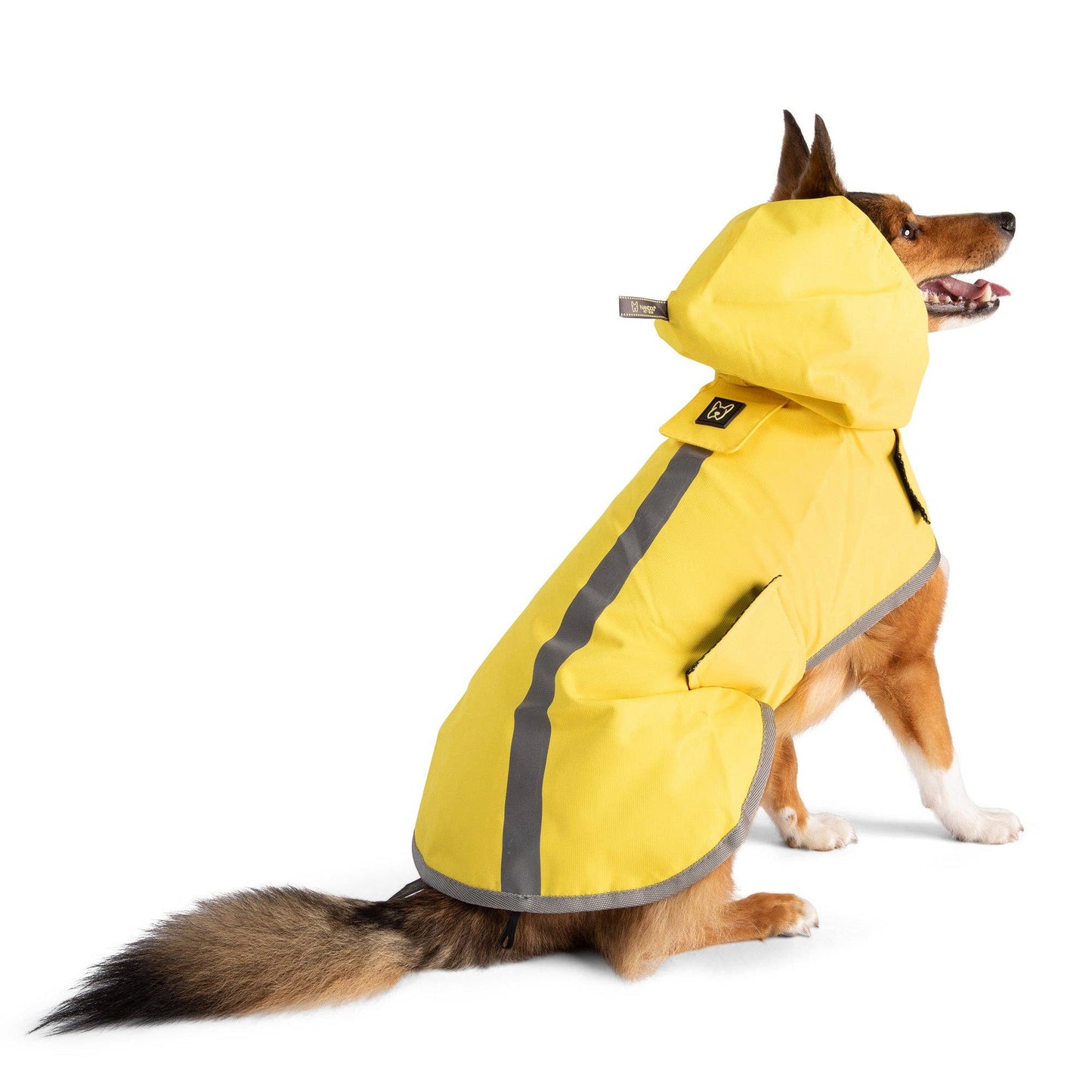 Nandog Pet Gear - Rain Coat Nandog Sport Collection: L