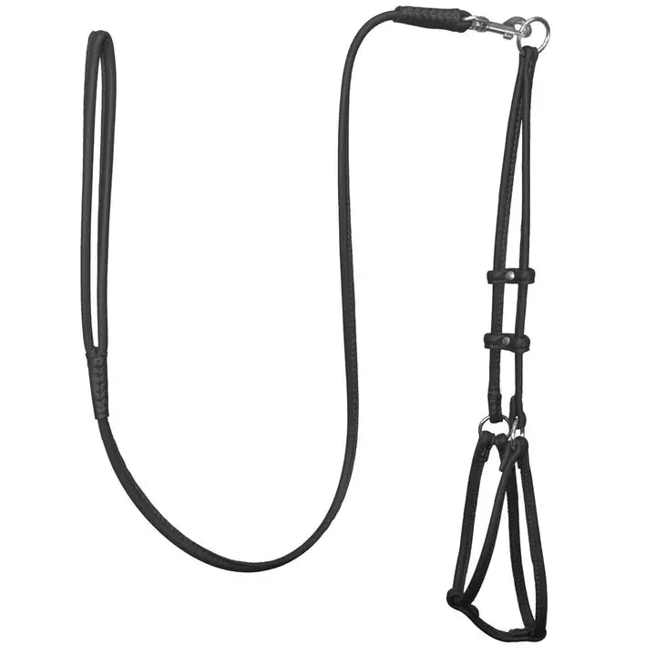 Dogbar Step-in Soft Round Leather Dog Harness  w/Leash