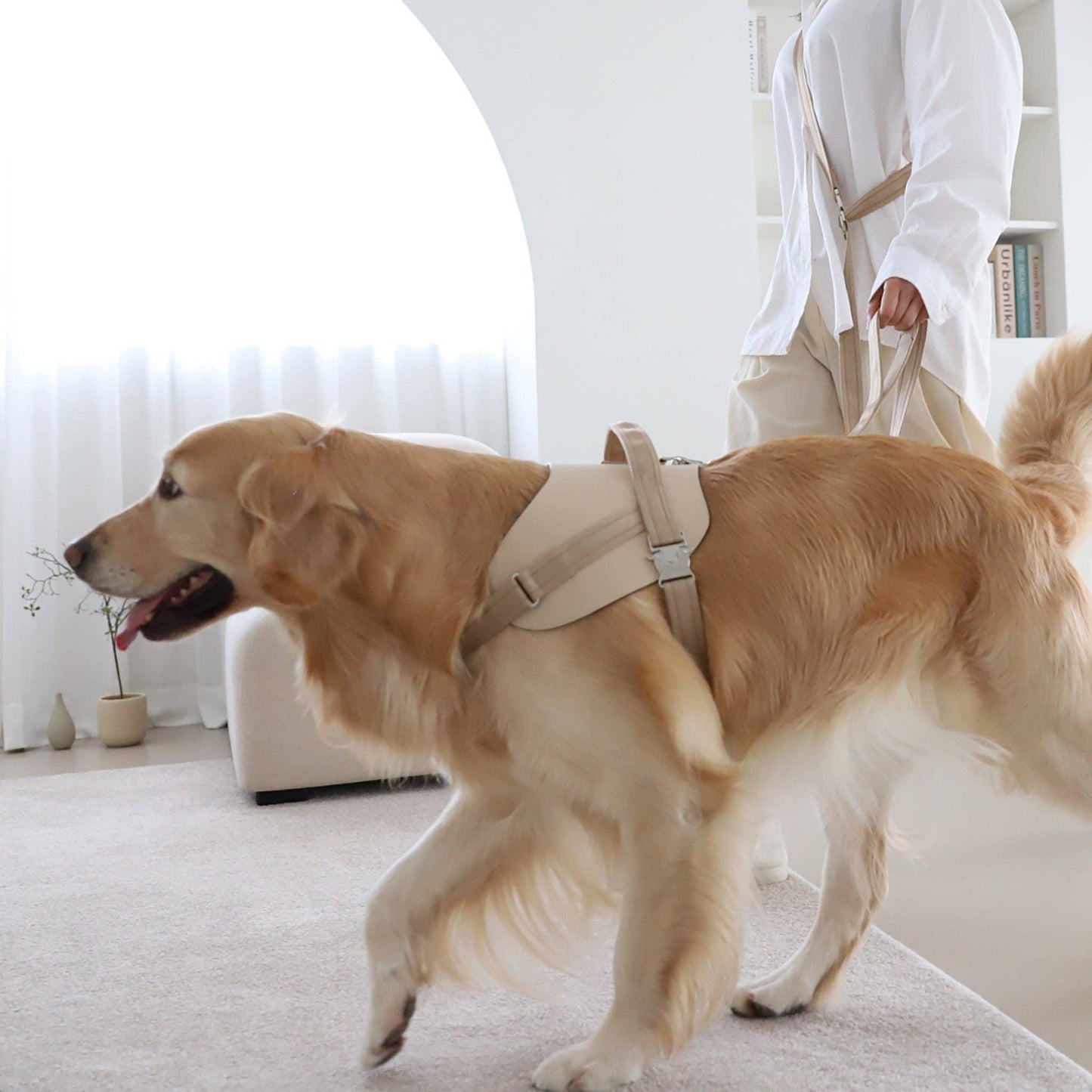Hozi - Saddle Hands-free Leash : Beige