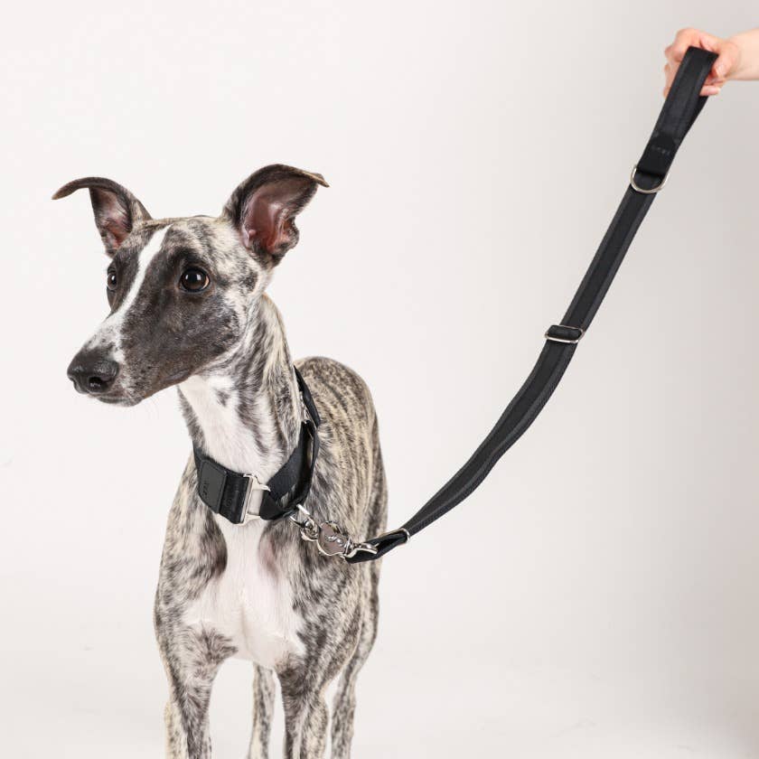 Hozi - Half Leash : Black