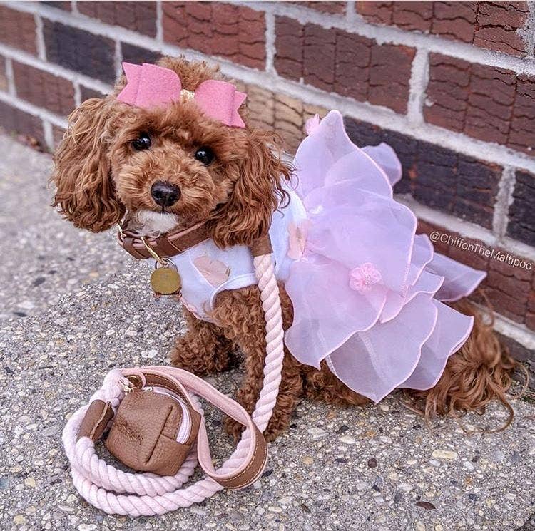PoisePup - WASTE BAG HOLDER - BELLA ROSE