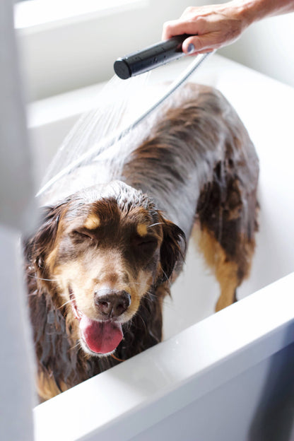 Pure + Good - Dog & Cat Shampoo: Lavender + Chamomile
