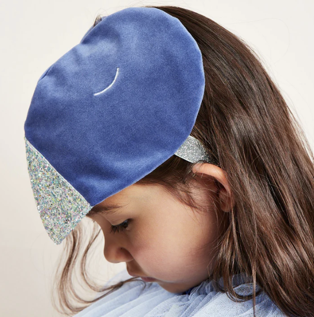 Blue Bird Costume