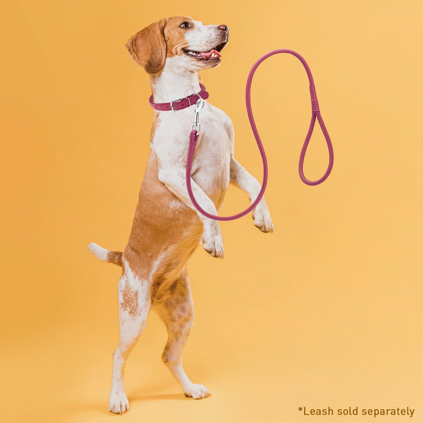 Dogline - Soft Leather Round Collar