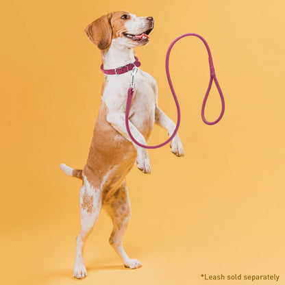 Dogline - Soft Leather Round Collar