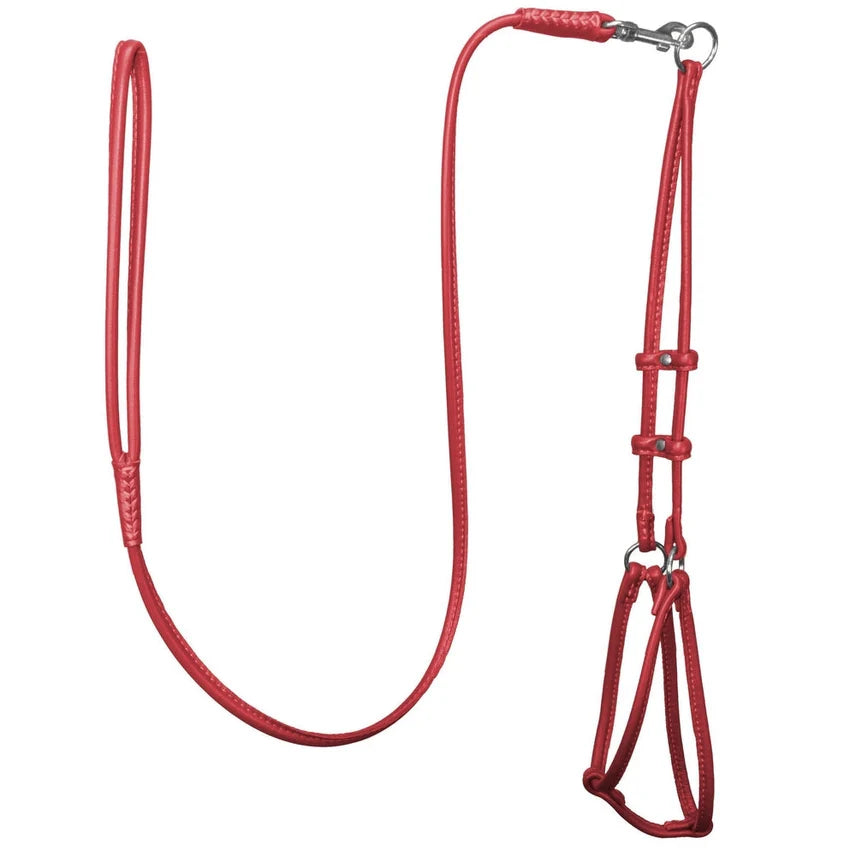 Dogbar Step-in Soft Round Leather Dog Harness  w/Leash