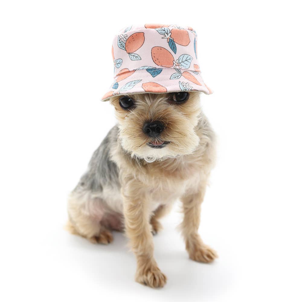 Dogo Pet - Bucket Hat Lemon Pink