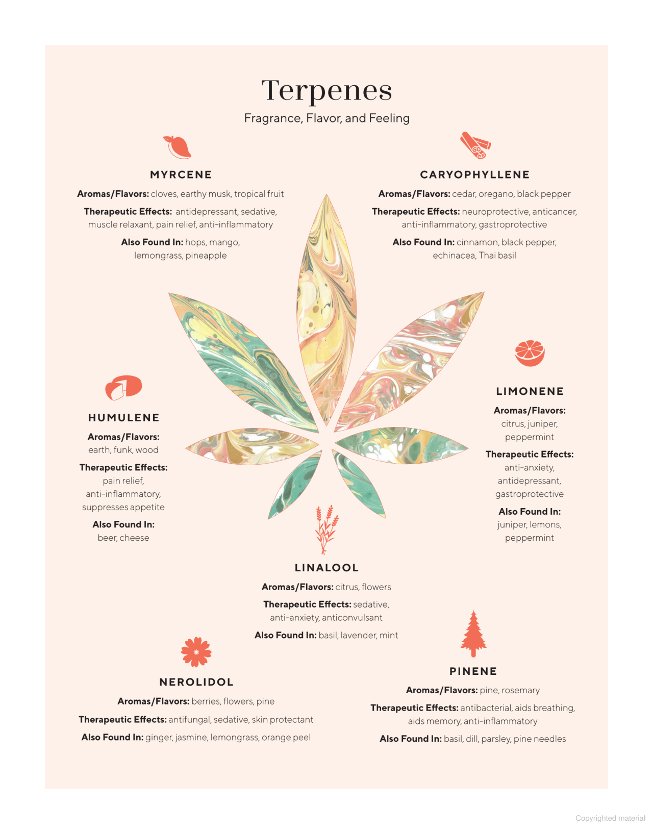 Edibles Small Bites for the Modern Cannabis Kitchen