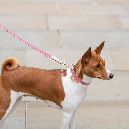 Nina Woof - Leash 4ft - Vegan Leather - Rio
