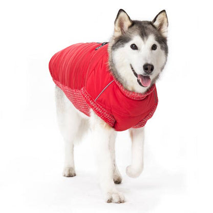 Dogo Pet - Runner Coat Original