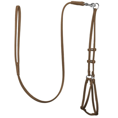 Dogbar Step-in Soft Round Leather Dog Harness  w/Leash