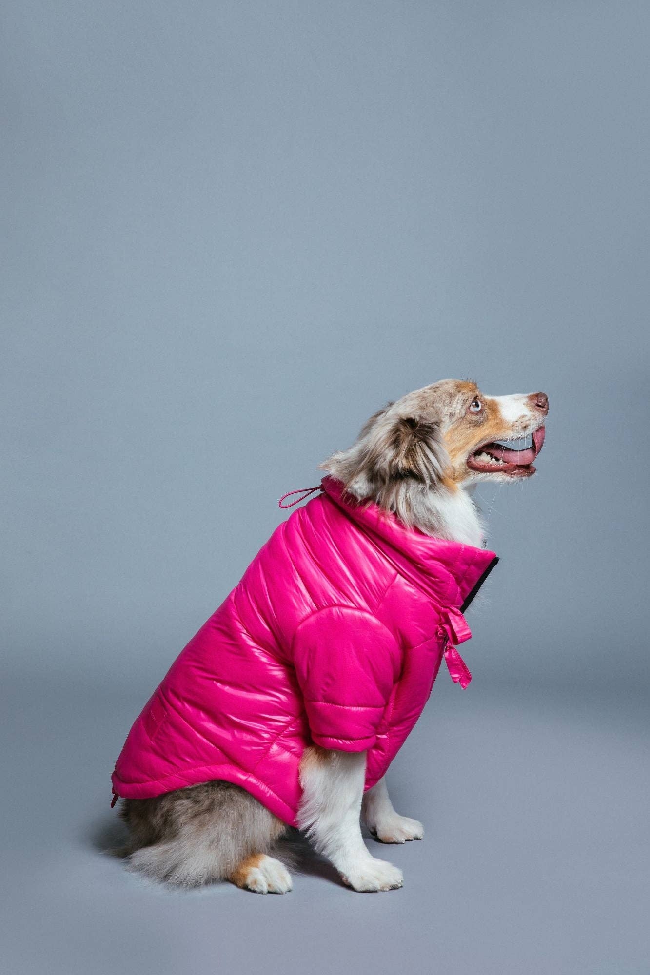 maxbone - Glossy Puffer Jacket