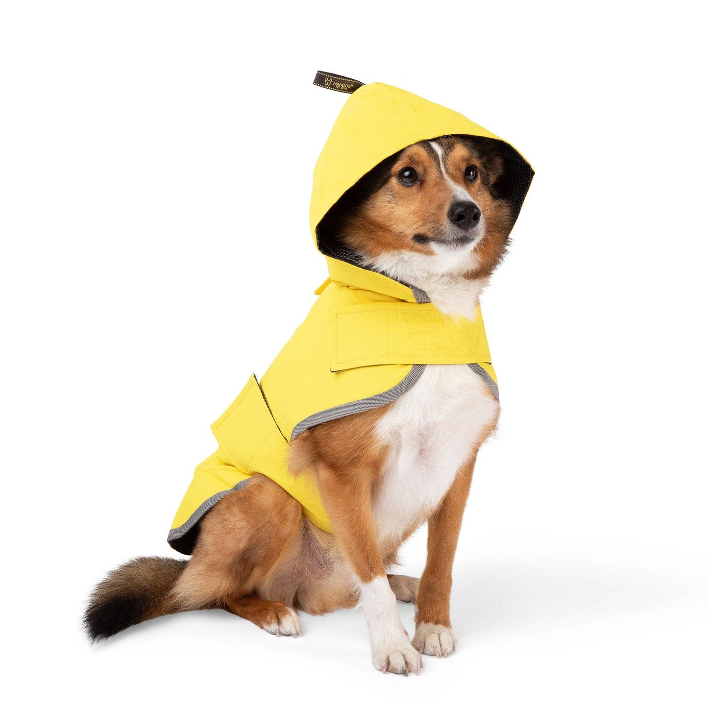 Nandog Pet Gear - Rain Coat Nandog Sport Collection: L