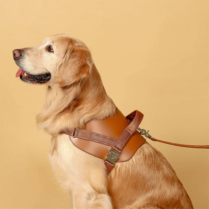 Hozi - Saddle Harness - Camel