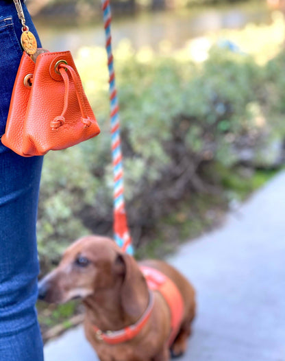 PoisePup - TREAT BAG - VIBRANT SUNSET