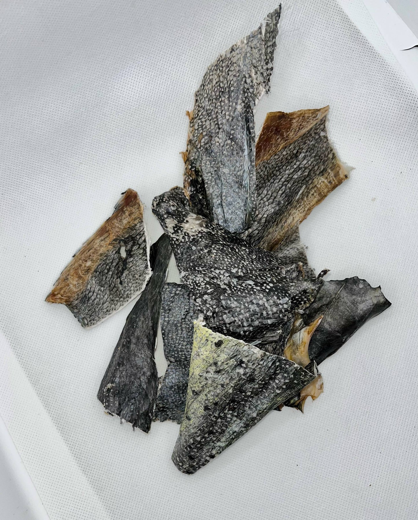 Florida Man Pet Treats - Dehydrated Mahi Mahi Chips (Small Dogs & Cats)